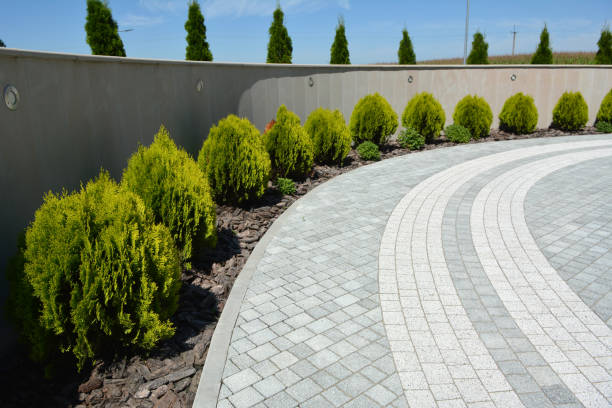 Best Local Driveway Pavers  in Lockney, TX